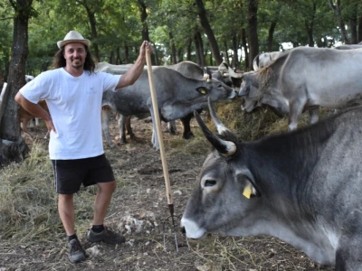Izvorne pasmine domaćih životinja Istre