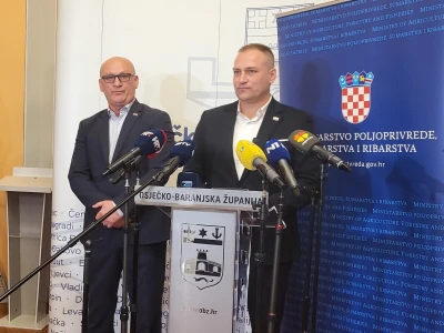 Afrička svinjska kuga