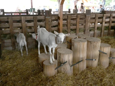AGRA 2022, Gornja Radgona