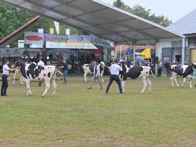 AGRA 2022, Gornja Radgona