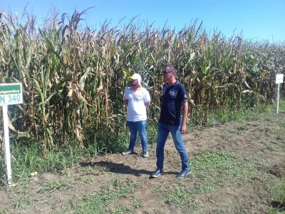 Agrigenetics i American genetics