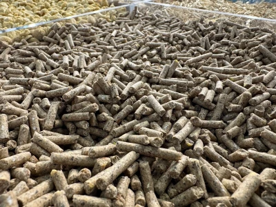 AgriUmbria 2026