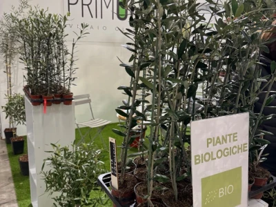 AgriUmbria 2026