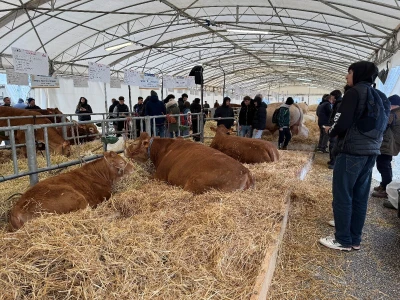 AgriUmbria 2026