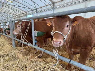 AgriUmbria 2026
