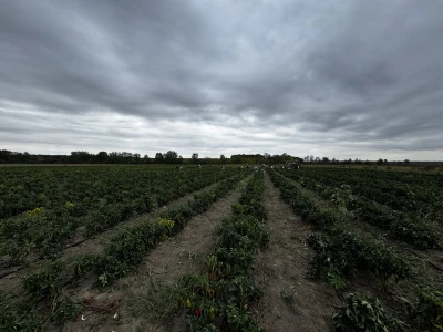 Agro Marić Vrbanja
