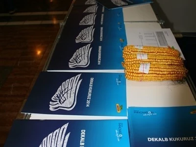 Dekalb promo materijali