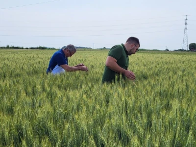 AgroChem MAKS - program SelectiS