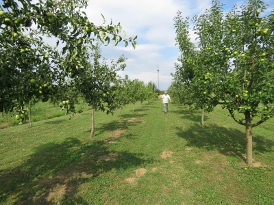 agrohobi