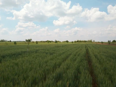 Agroinova FAZOS
