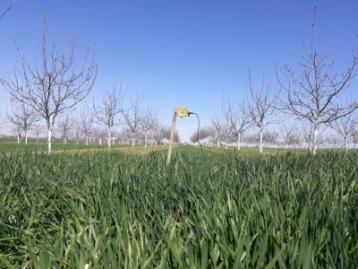 Agroinova FAZOS