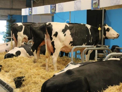 Agromek 2018, Herning, Danska
