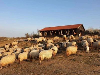 Agropol d.o.o. iz Vrbnika