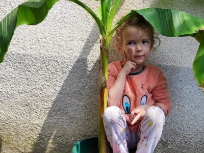 Agroselfi