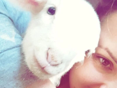 Agroselfi