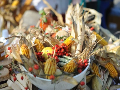 AgroTour Slavonija 2019