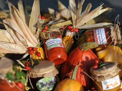 AgroTour Slavonija 2019