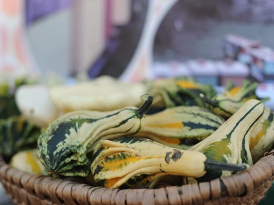 AgroTour Slavonija 2019