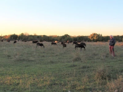 Agroturizam Sia