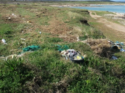 Akcija čišćenja obale kroz projekt Plastic Free Ližnjan