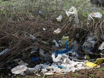 Akcija čišćenja obale kroz projekt Plastic Free Ližnjan