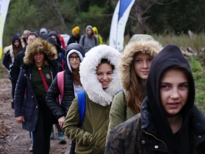 AKCIJA POŠUMLJAVANJA - U dva dana na šest hektara opožarenog Kožina kod  Zadra 800 volontera posadilo 10.000 stabala primorskog bora