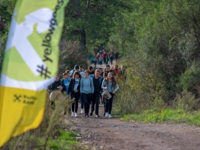 AKCIJA POŠUMLJAVANJA - U dva dana na šest hektara opožarenog Kožina kod  Zadra 800 volontera posadilo 10.000 stabala primorskog bora
