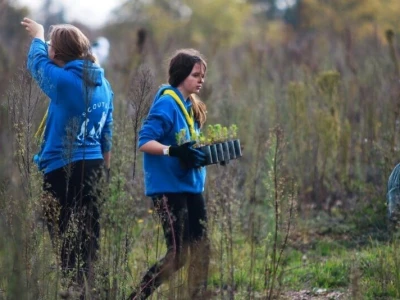 AKCIJA POŠUMLJAVANJA - U dva dana na šest hektara opožarenog Kožina kod  Zadra 800 volontera posadilo 10.000 stabala primorskog bora