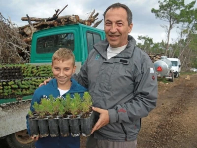 AKCIJA POŠUMLJAVANJA - U dva dana na šest hektara opožarenog Kožina kod  Zadra 800 volontera posadilo 10.000 stabala primorskog bora