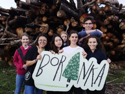 AKCIJA POŠUMLJAVANJA - U dva dana na šest hektara opožarenog Kožina kod  Zadra 800 volontera posadilo 10.000 stabala primorskog bora