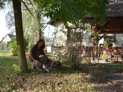 Ankica Ursić Molnar