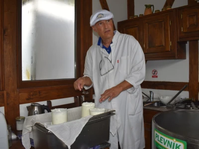 Ankica Ursić Molnar