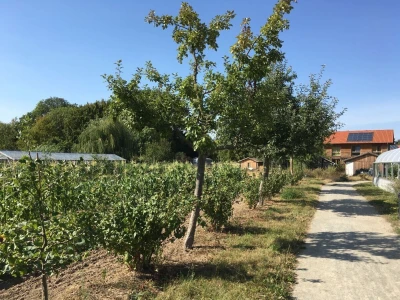 Arhitektura u zaštiti prirode