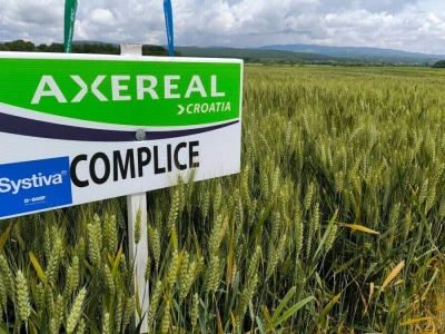 Axereal