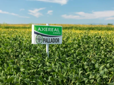 Axereal soja mix