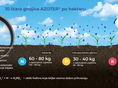 AZOTER bakterijska gnojiva