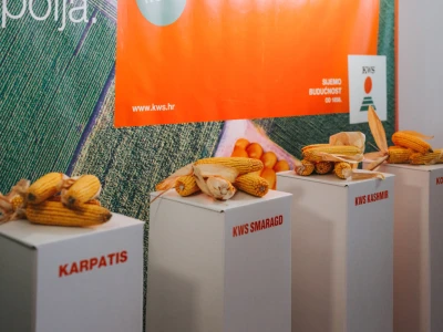 KWS - Premijera PLUS4GRAIN hibrida kukuruza