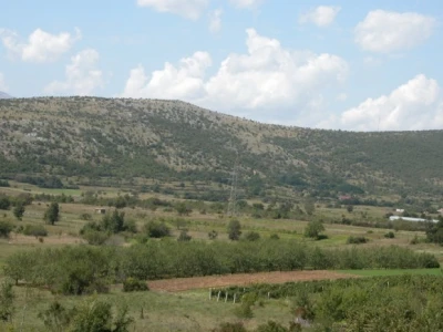 Bajamici Branka Kalopera u Vojniću Sinjskom
