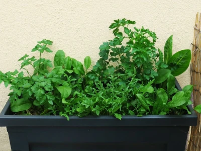 Balkon kao inspiracija