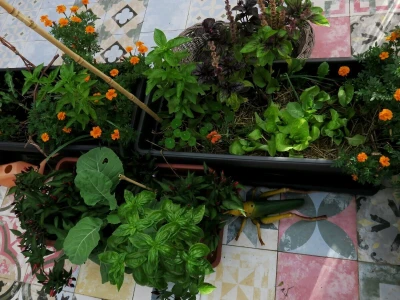 Balkon kao inspiracija