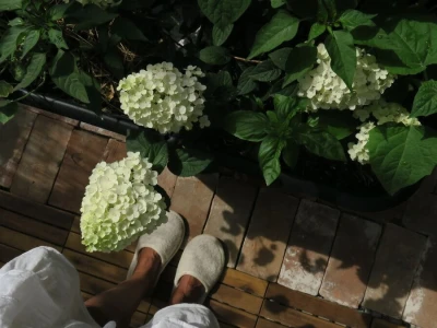 Balkon kao inspiracija