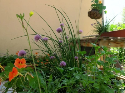 Balkon kao inspiracija
