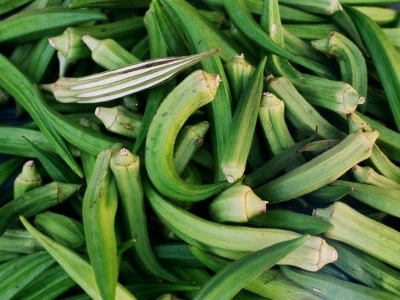 Bamija