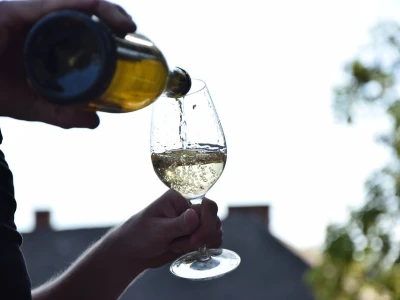 Bijelo stolno vino Ban donijelo im je već mnoge nagrade