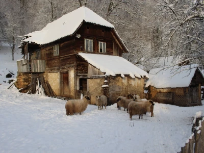 Banijske snježne sličice
