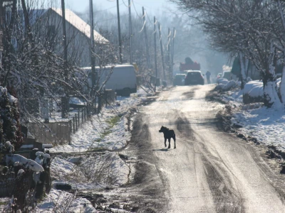 Banijske snježne sličice