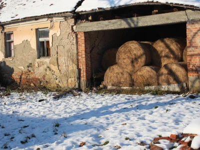 Banijske snježne sličice