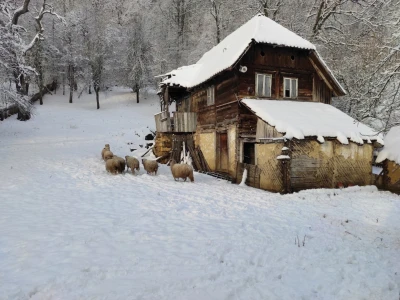 Banijske snježne sličice