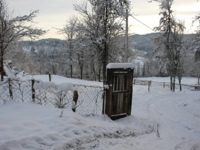 Banijske snježne sličice