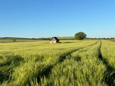Banovo brdo pred smiraj dana